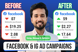 create profitable facebook ads campaign and be your fb ads manager,  fb sales ad