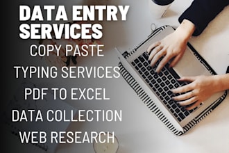 do data entry, pdf to excel conversion