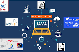develop a professional java desktop application