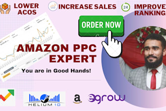 be your amazon PPC ads expert, will setup amazon ads
