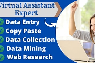 do fast data entry virtual assistant and copy paste