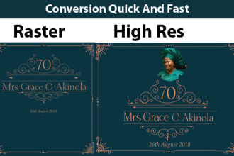 convert low resolution image to vector in 12 hour
