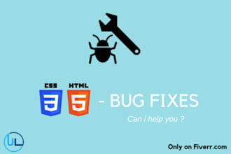 fix any webpage bugs or issues