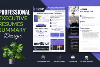 design one pager executive summary or capability statement