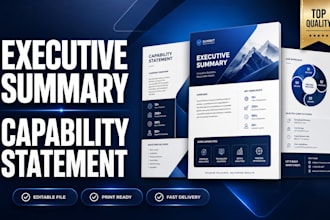 design a professional executive summary and capability statement