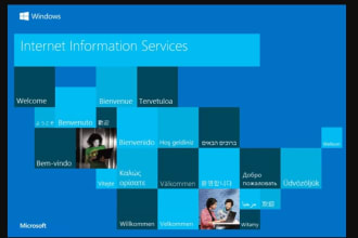 install,configure,fix any issue on your iis web server