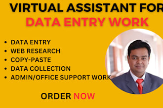 do fast any data entry for you