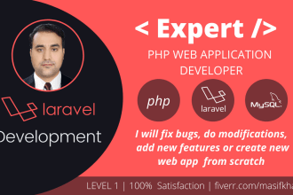 fix bugs do modification and create new laravel web application