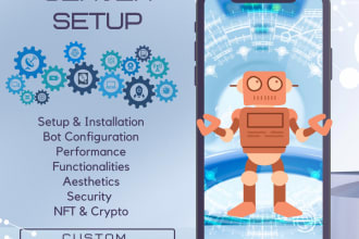 setup a professional crypto or nft discord server