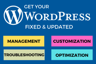 update, manage, optimize, fix wordpress website,