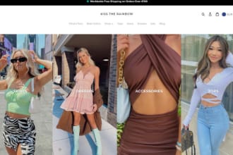 design shopify clothing store and clothing website