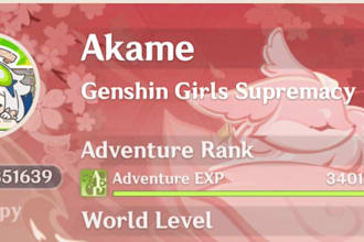 help you in genshin impact