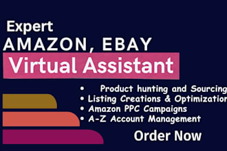 be your expert amazon ebay, virtual assistant