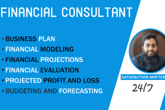 do  business plan, financial model, projections and forecasts for startups
