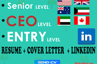 write HR, CEO, vp, svp, executive resume and cover letter