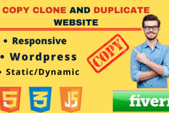 duplicate copy clone website or redesign wordpress website
