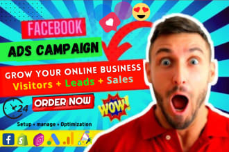 be shopify facebook ads, instagram ads campaign, marketing, promotion manager