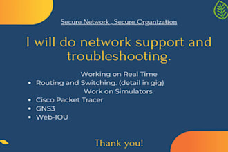 do network support and all configurations for you