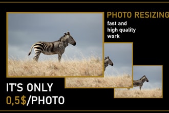 resize your photos with no quality damage
