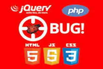 fix bugs related to HTML, CSS, javascript, PHP, magento