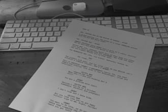 be your professional script consultant