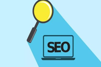 do wordpress SEO, shopify onpage, bigcommerce any platform full package
