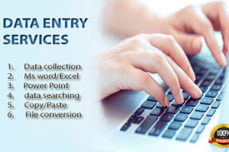 be your fastest data entry expert, operator, and data cleansing full time va
