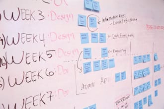 provide project management services