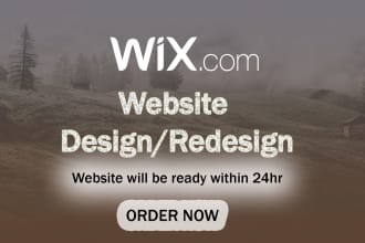 design or redesign a wix website and online store for you