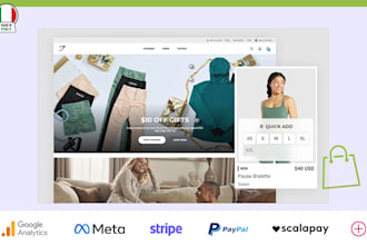 build a professional shopify store or ecommerce online