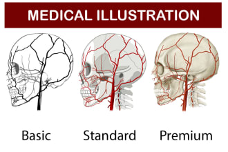 do medical, dental and scientific illustrations for you