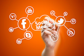 manage social media marketing campaigns