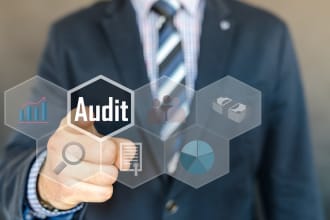 conduct professional vendor audit verification for compliance and due diligence