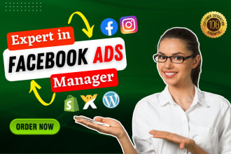 be your facebook ads manager