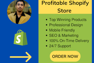create profitable shopify dropshipping store or website