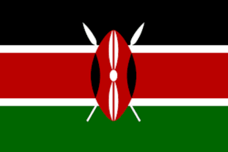 assist you in anything you need in kenya
