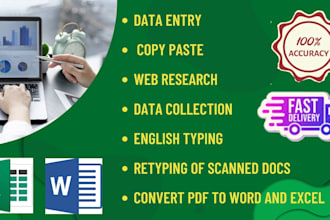 do data entry, pdf to excel and word conversion, web research
