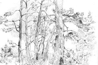 draw the background art in black and white