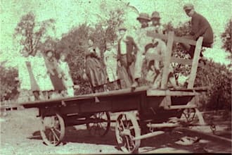 research your family tree