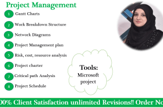 do project management tasks, create gantt chart, wbs  using ms project