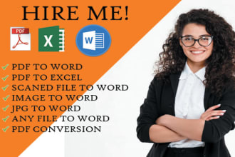 do a fast typing job, retype pages, pdf to word