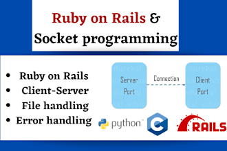 do socket programming tcp udp in c and python