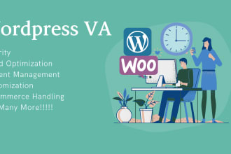 be your wordpress virtual assistant and maintenance manager