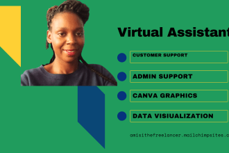be your nvivo data analyst