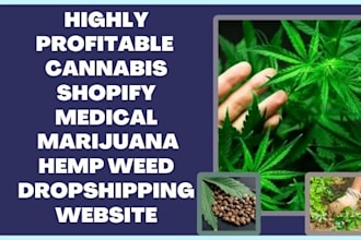 design cannabis medical marijuana hemp weed  dropshipping shopify store website