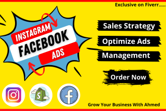 setup your shopify facebook ads with instagram ads campaign