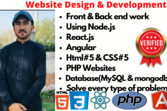 develop or fix mern, reactjs, nodejs, angularjs, next mongodb, web apps, website