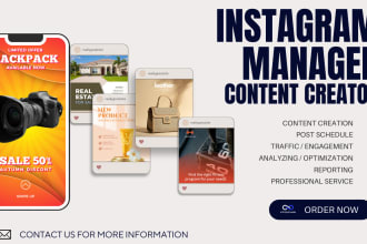professionally manage your instagram account
