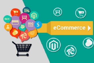create dynamic wordpress ecommerce website