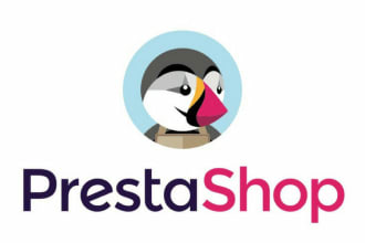 develop and customize a professional prestashop dropshipping website